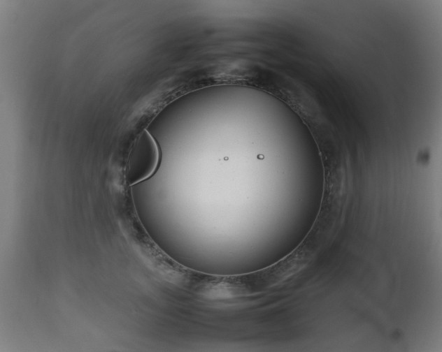 X0000112490755200908241325