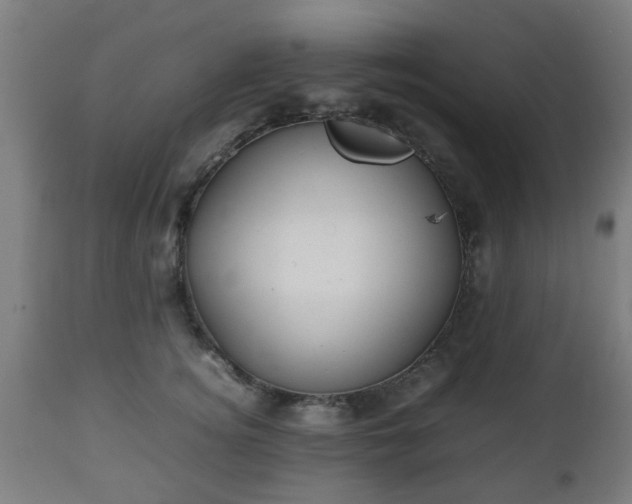 X0000112490756200908241325