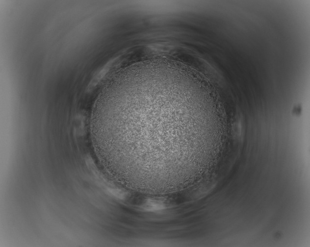 X0000112490757200908241325