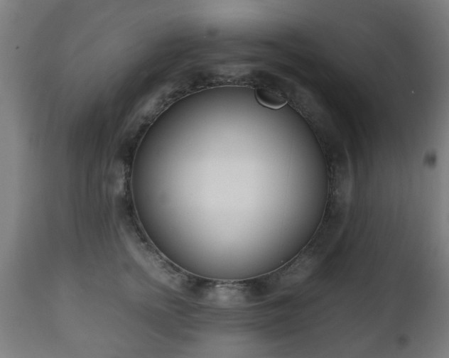 X0000112490758200908241325