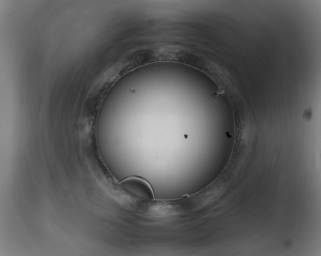 X0000112490759200908241325