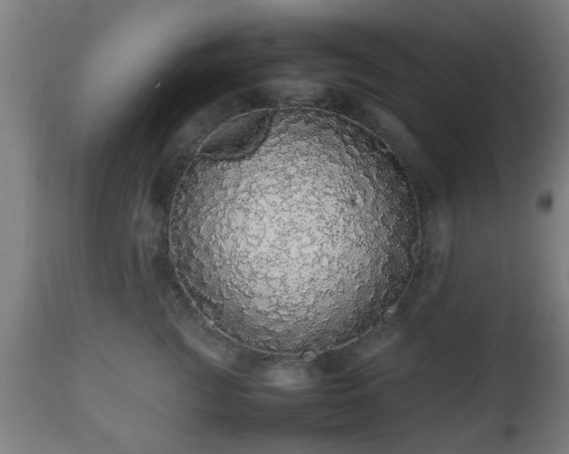 X0000112490761200908241325