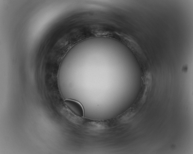 X0000112490763200908241325