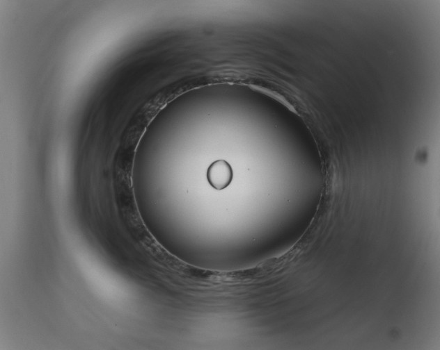 X0000112490764200908241325