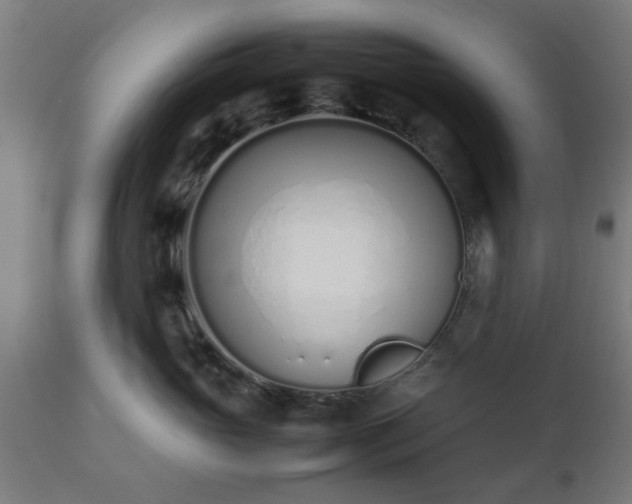 X0000112490765200908241325