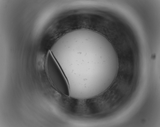 X0000112490766200908241325