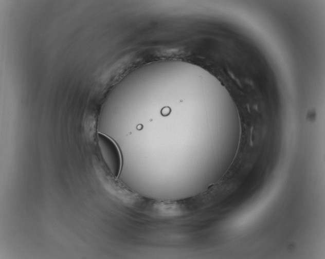 X0000112490767200908241325