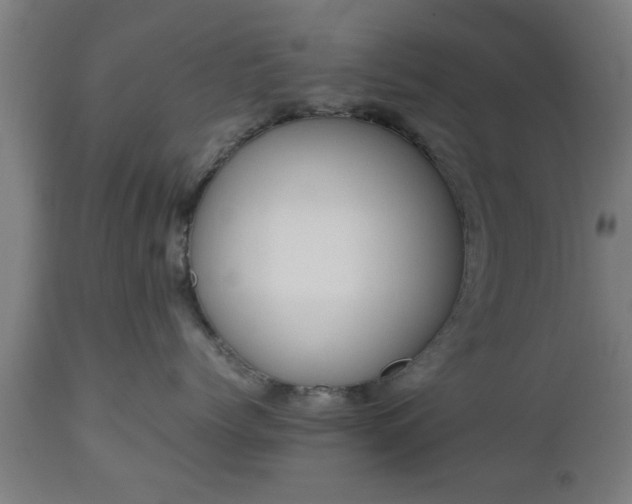 X0000112490768200908241325