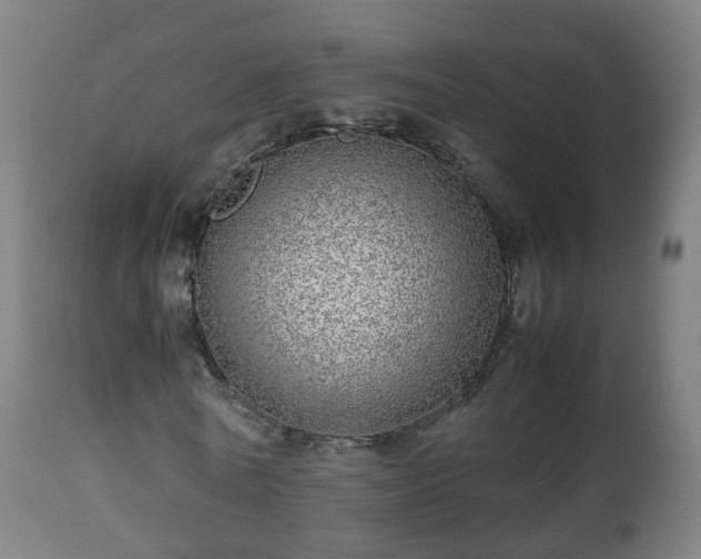 X0000112490770200908241325