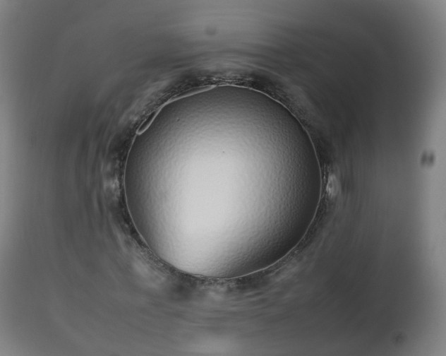 X0000112490771200908241325