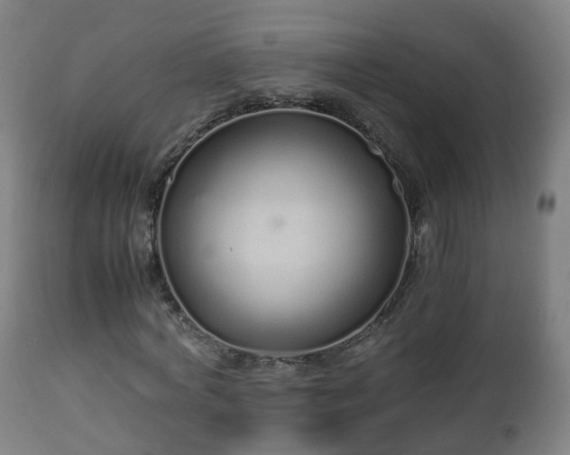 X0000112490772200908241324