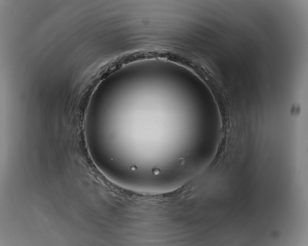 X0000112490773200908241324