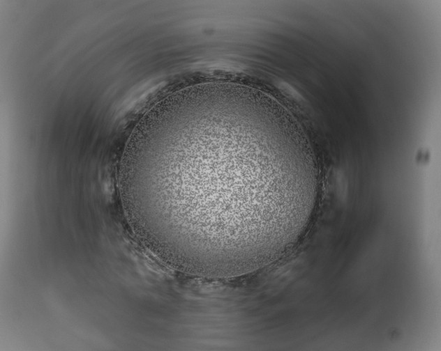 X0000112490774200908241324