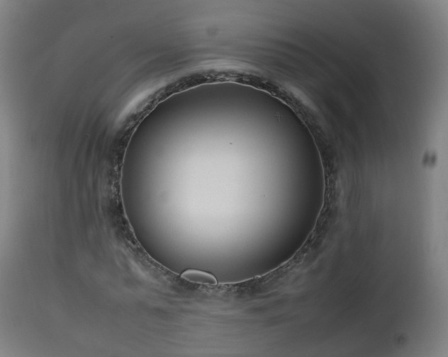 X0000112490775200908241324