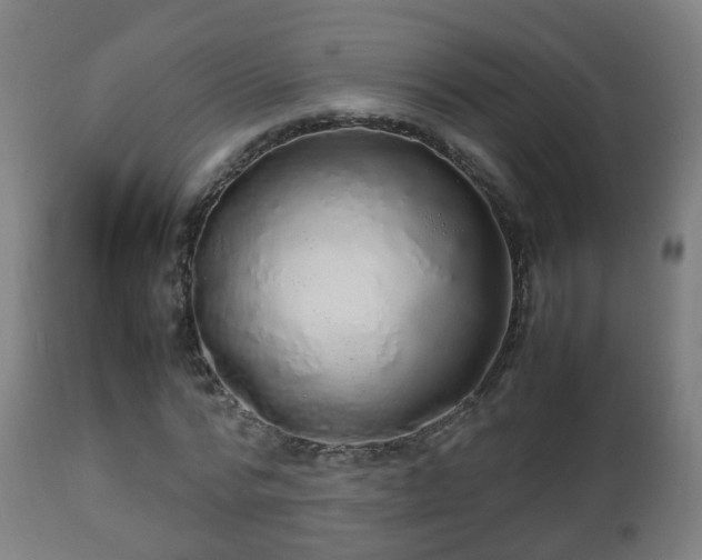 X0000112490776200908241324