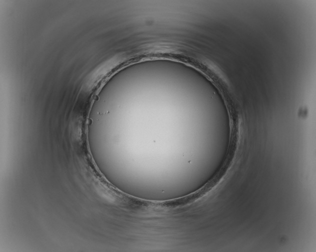 X0000112490777200908241324