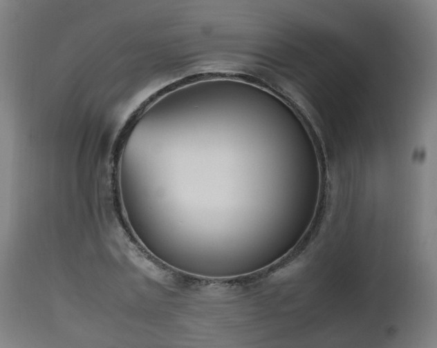 X0000112490779200908241324