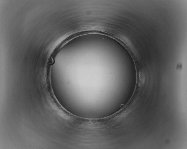 X0000112490780200908241324