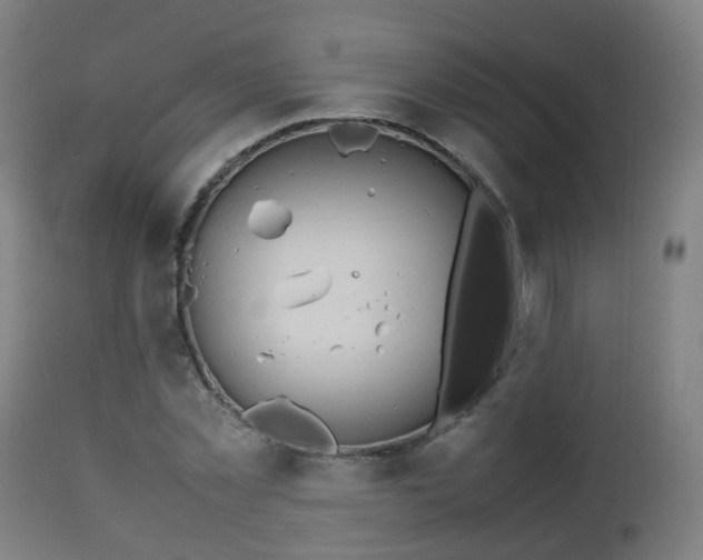 X0000112490781200908241324