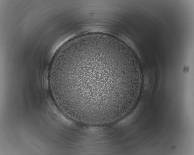 X0000112490782200908241324