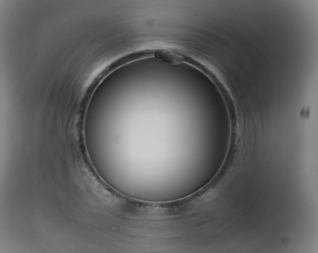 X0000112490783200908241324