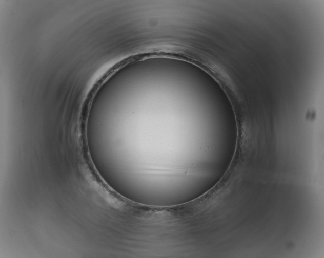 X0000112490784200908241324