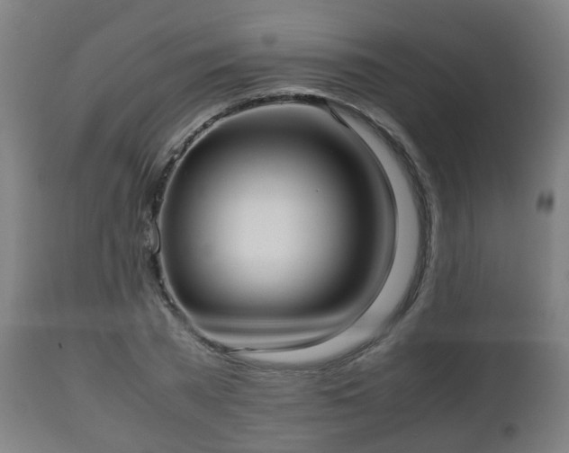 X0000112490785200908241324