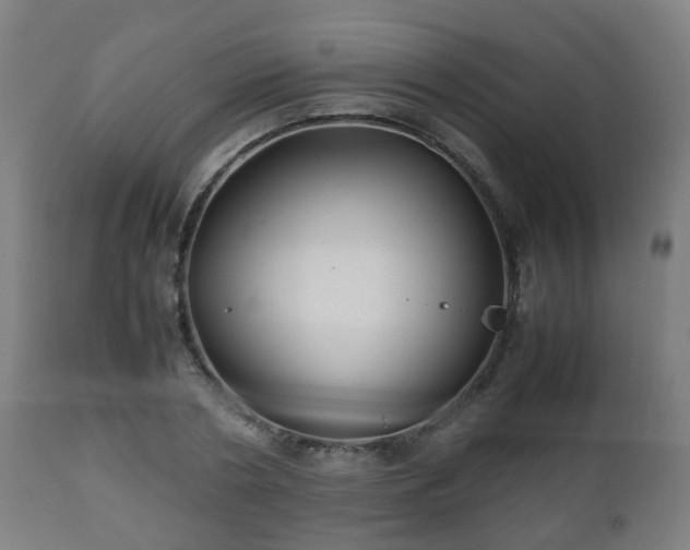 X0000112490786200908241324