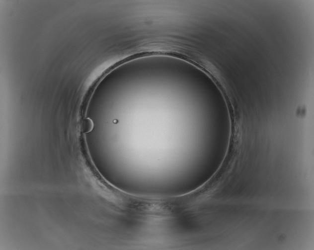 X0000112490787200908241324