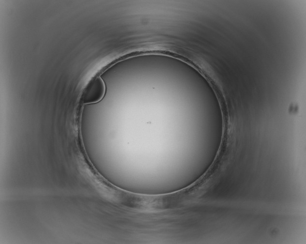 X0000112490789200908241324