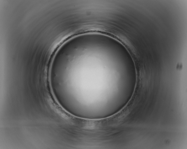 X0000112490790200908241324