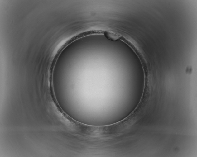 X0000112490791200908241324