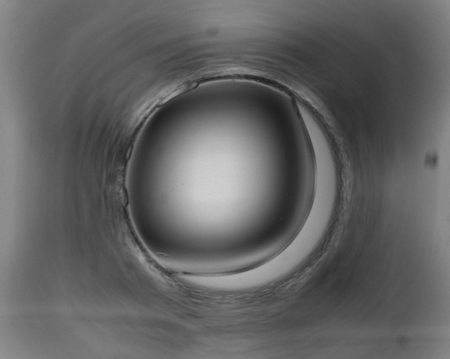 X0000112490793200908241324