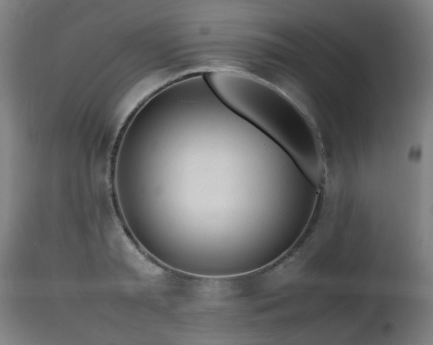 X0000112490797200908241324