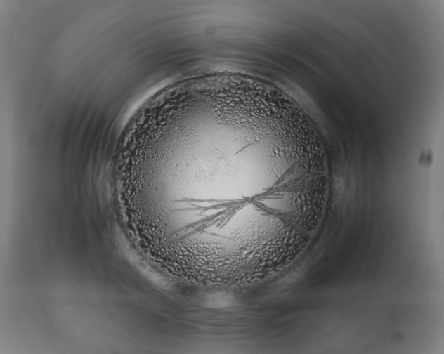 X0000112490798200908241324