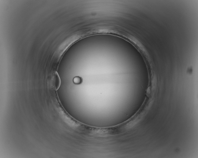 X0000112490801200908241324