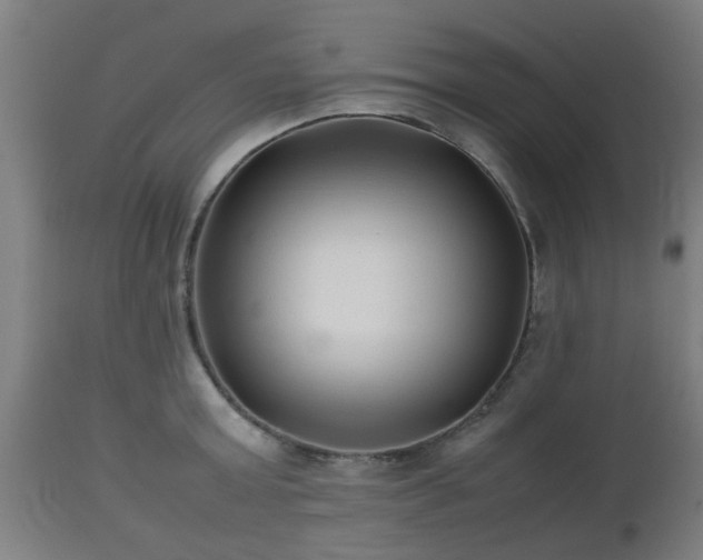 X0000112490803200908241324