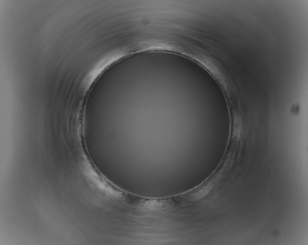 X0000112490806200908241324