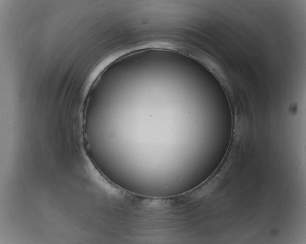 X0000112490808200908241324