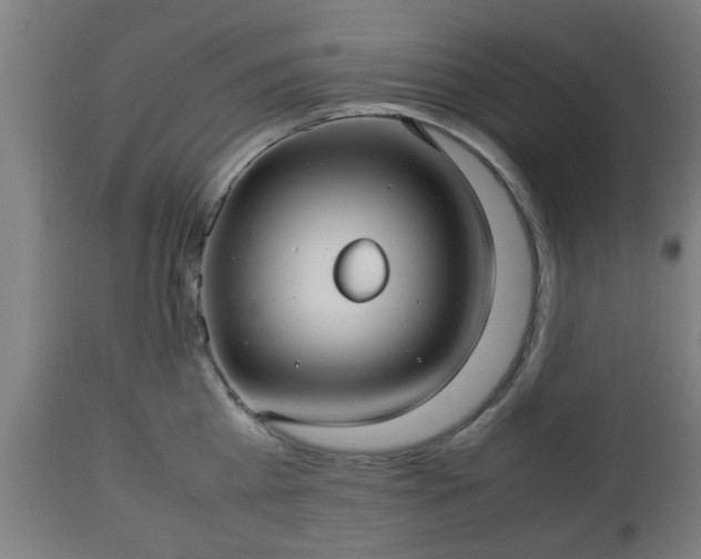 X0000112490809200908241324