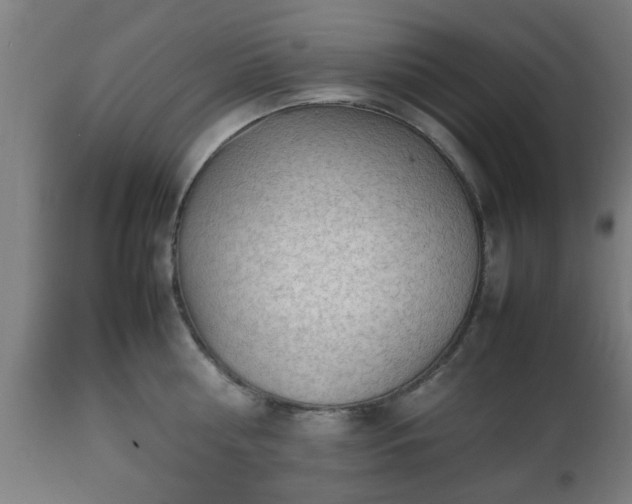 X0000112490810200908241324