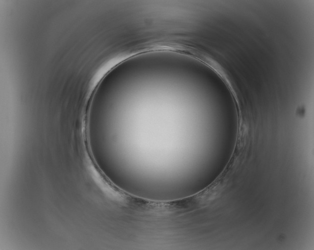 X0000112490811200908241324