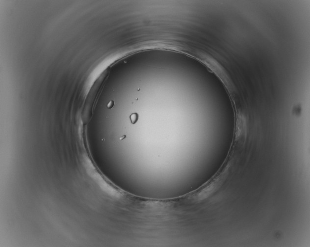 X0000112490812200908241324