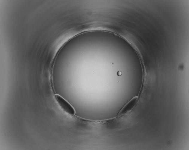 X0000112490813200908241324