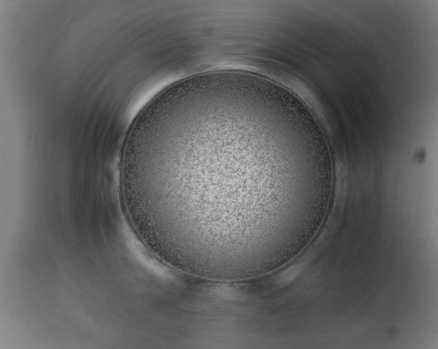 X0000112490814200908241324