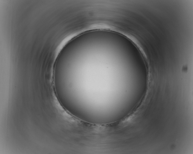 X0000112490815200908241324