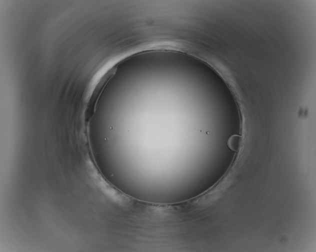 X0000112490816200908241324