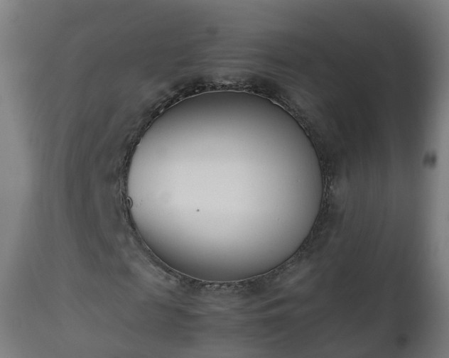 X0000112490817200908241323