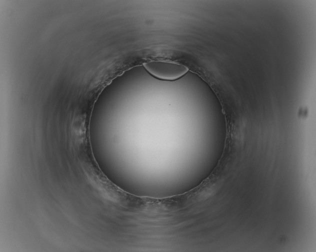 X0000112490818200908241323