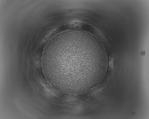 X0000112490819200908241323